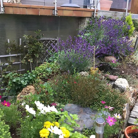 Les 3 Coccinelles Bed & Breakfast *